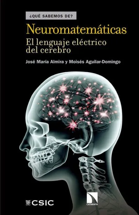 Neuromatemáticas. El Lenguaje Eléctrico del Cerebro