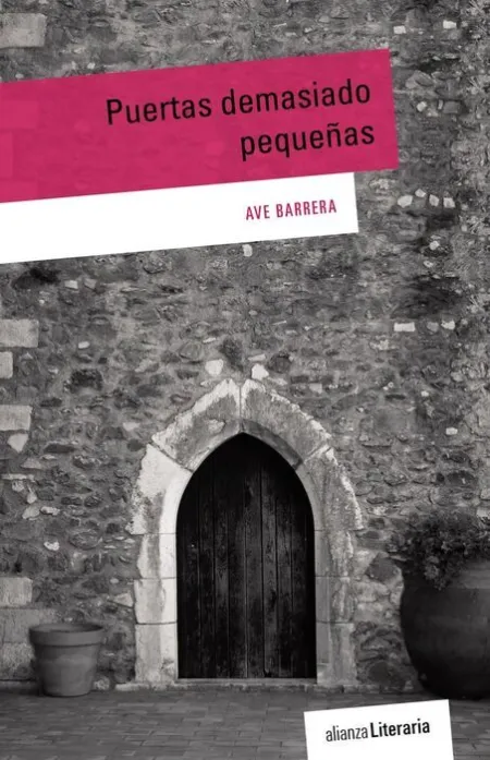 Puertas Demasiado Pequeñas