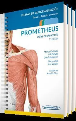 Prometheus Atlas de Anatomía(3 Tomos)