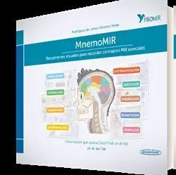 Mnemomir. Resúmenes Visuales para Recordar Conceptos Mir Esenciales