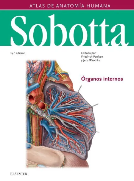 018 T2 Sobotta Organos Internos