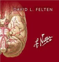 019 Netter Flashcards de Neurociencia (3ª Ed. )