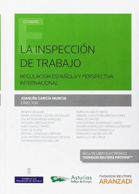 La Inspeccion de Trabajo. Regulacion Española y Perspectiva Internacional