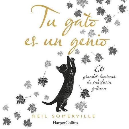 Tu Gato Es un Genio