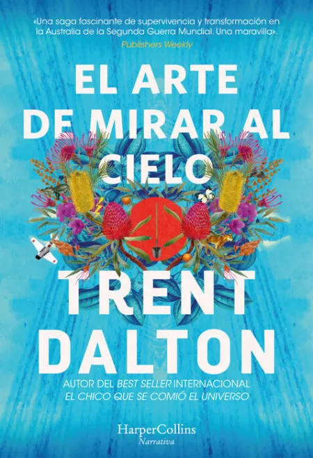 El Arte de Mirar Al Cielo