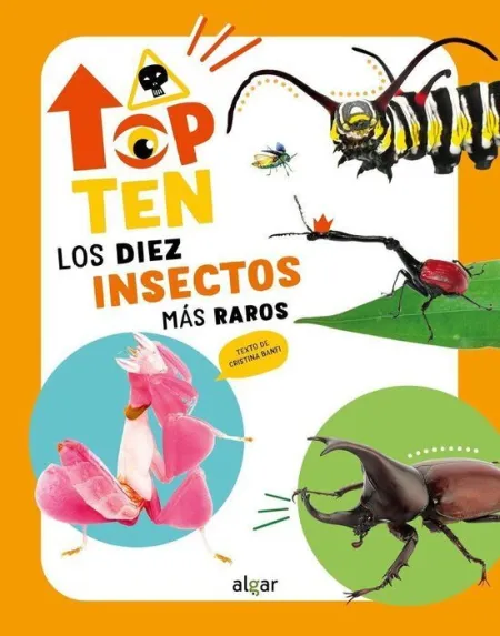 Top Ten los Diez Insectos Mas Raros