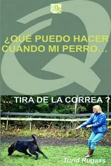 Que Puedo Hacer Cuando mi Perro Tira de la Correa