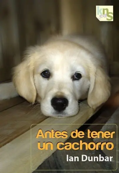 Antes de Tener un Cachorro