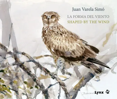 La Forma del Viento / Shaped By The Wind
