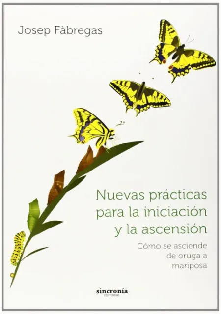 Nuevas Practicas para la Iniciacion y la Ascension