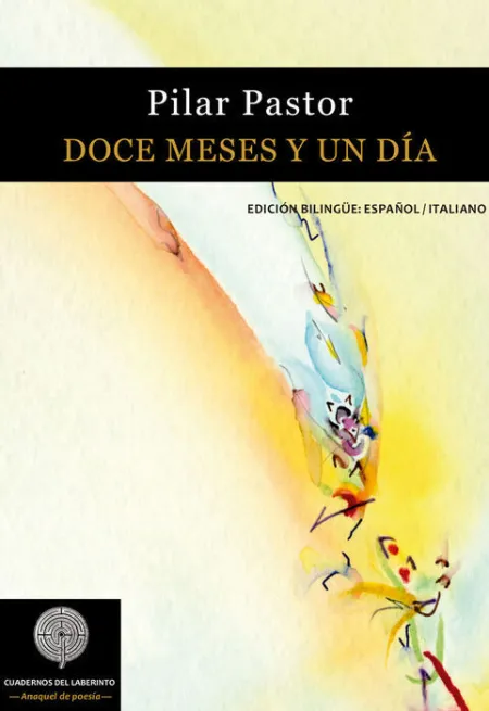 Doce Meses y un Día