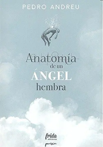 Anatomía de un Ángel Hembra