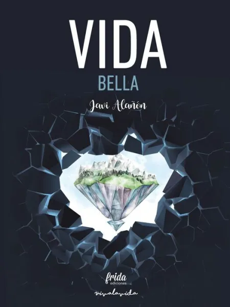 Vida Bella. 100 Grupos de Musica y una Pregunta