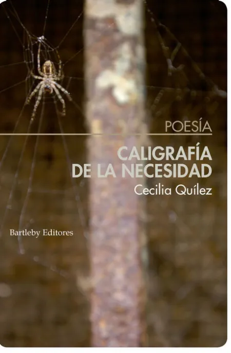 Caligrafía de la Necesidad