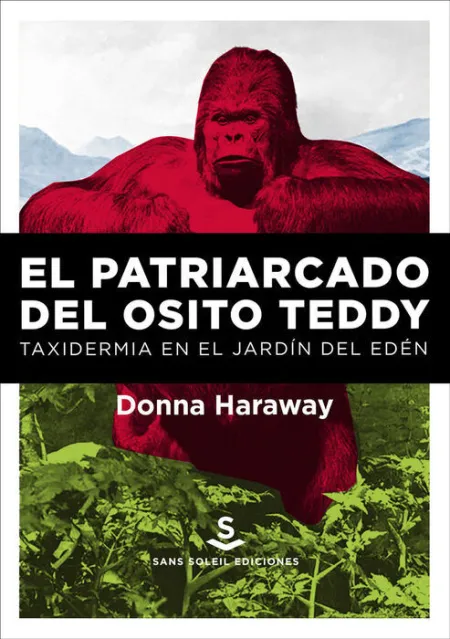 El Patriarcado del Osito Teddy