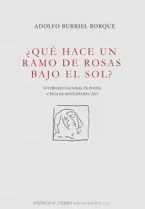 ¿Qué Hace un Ramo de Rosas Bajo el Sol?