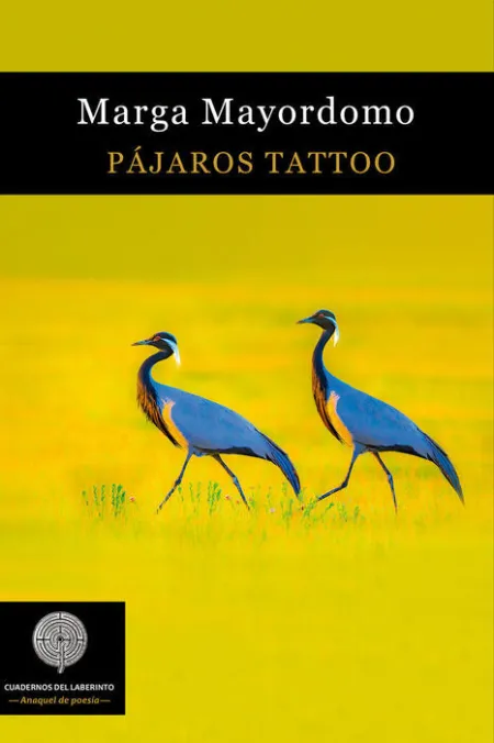 Pajaros Tattoo