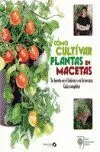 Como Cultivar Plantas en Macetas