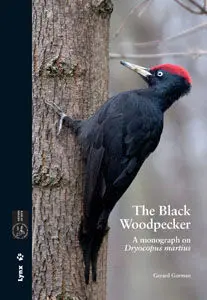 The Black Woodpecker