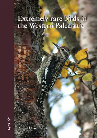 Extremely Rare Birds In The Western Palearctic