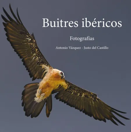Buitres Ibéricos