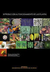 IntroducciãÂN Al Funcionamiento de las Plantas