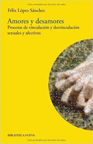 Amores y Desamores. Procesos de Vinculacion y Desvinculacion Sexuales y Afectivos