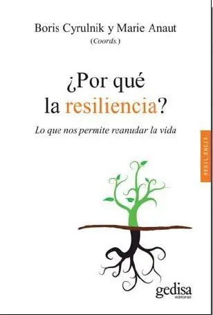 ¿Por qué la Resiliencia?