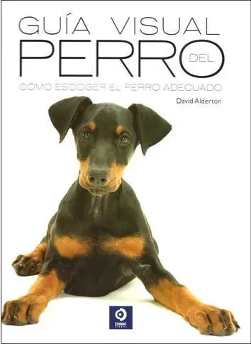 Guía Visual del Perro