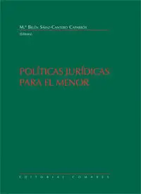 Politicas Juridicas para el Menor.