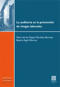 Auditoria en la Prevencion Riesgos Laborales