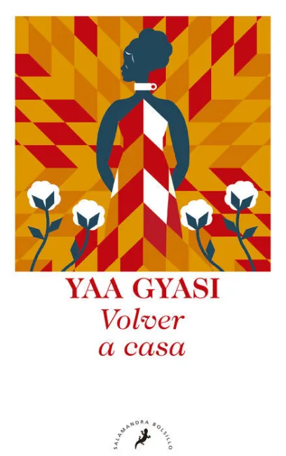 Volver a Casa
