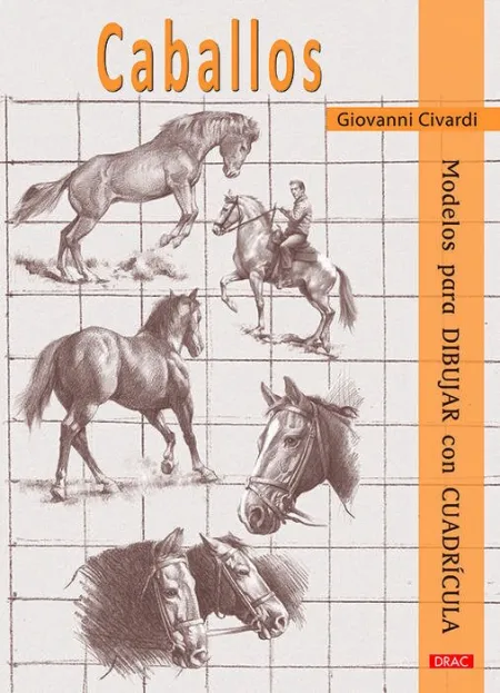 Caballos. Modelos para Dibujar con Cuadrícula
