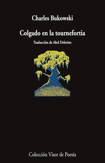 Colgado en la Tournefortia