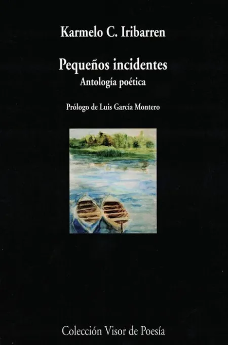 Pequeños Incidentes