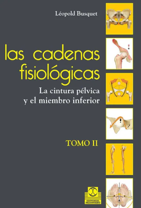 T2 las Cadenas Fisiologicas