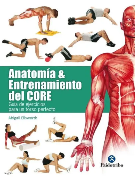 Anatomía & Entrenamiento del Core