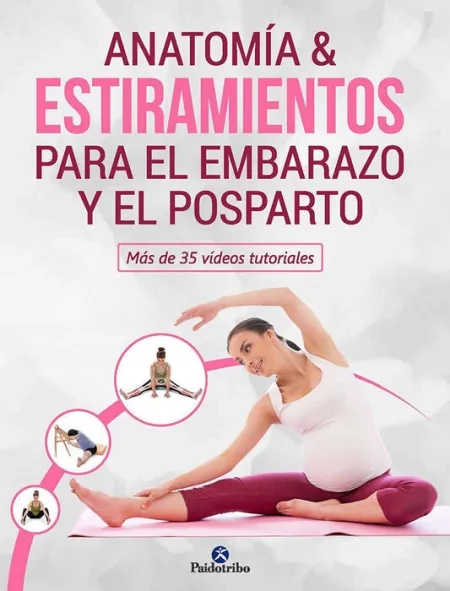 Anatomia & Estiramientos para el Embarazo y el Posparto