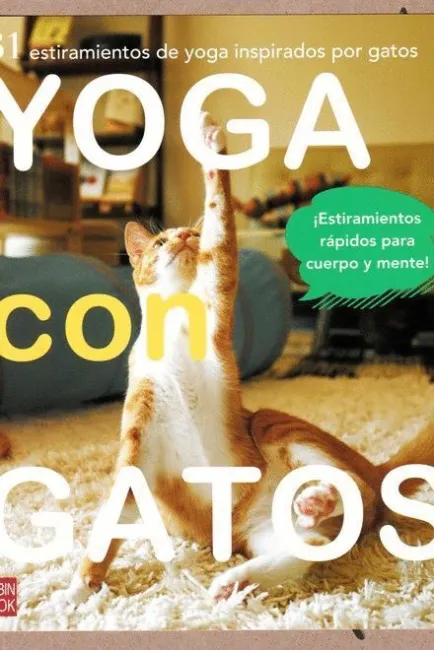 Yoga con Gatos