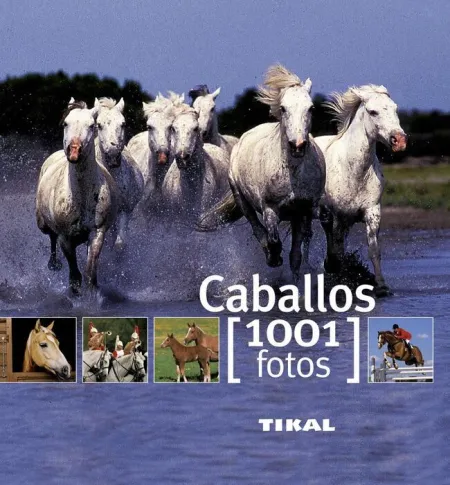 Caballos ( 1001 Fotos ) Ref. 261-04