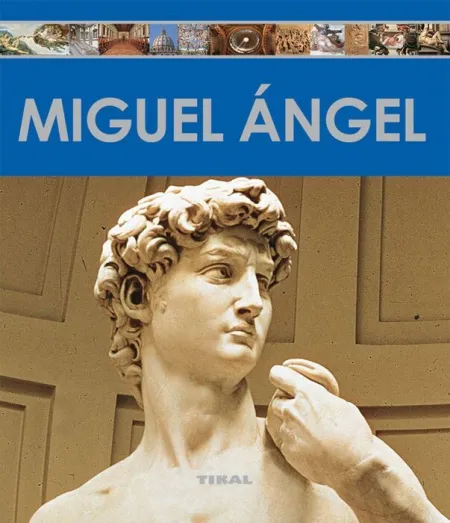 Miguel Angel Ref. 251-22