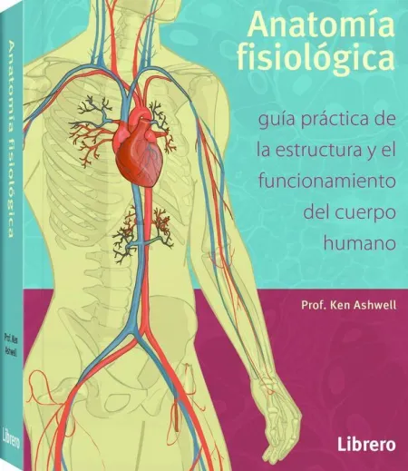 Anatomia Fisiologica