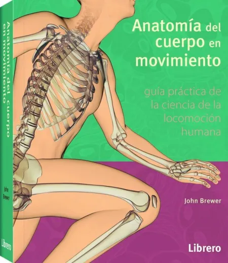 Anatomia del Cuerpo en Movimiento