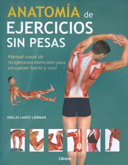 Anatomia de Ejercicios sin Pesas