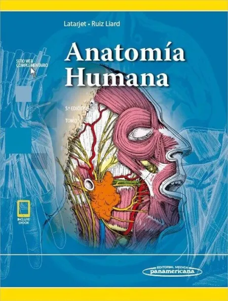 022 T1 Anatomia Humana