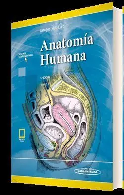 Anatomía Humana 5Ed. T2 (Ebook)