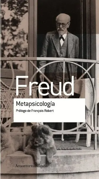 Metapsicologia
