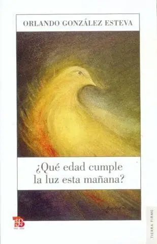 Â¿Quã© Edad Cumple la Luz esta Maã±Ana? Antologâ¡A