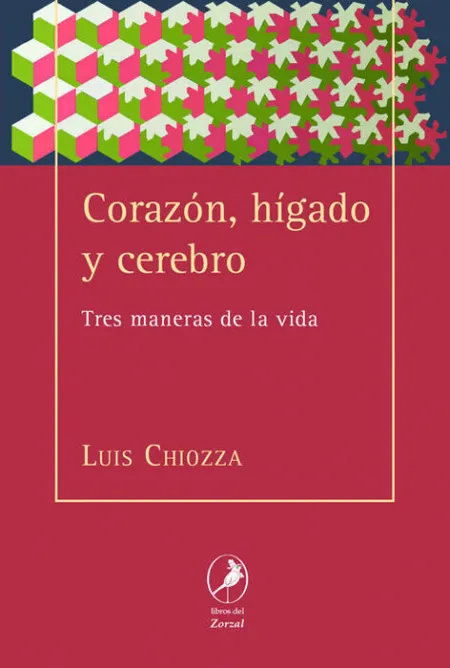Corazon, Higado y Cerebro