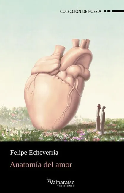 Anatomia del Amor